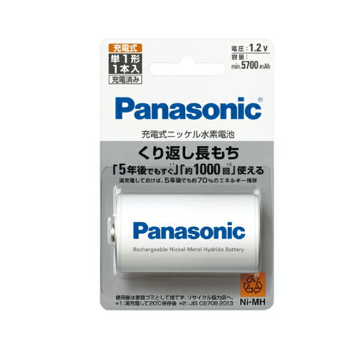  6܂ŁIő3,000~OFF  pi\jbN Panasonic [d jbPfdr P1` BK-1MGC/1