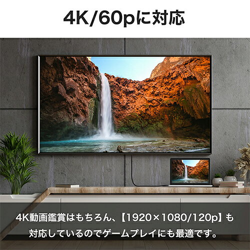 ホーリック DisplayPort→HDMI変換ケーブル 2m DPHA20-809BB