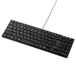 【最大2,000円OFF！4/24 20時～4/25 24時】 【P2倍】サンワサプライ USBスリムキーボード SKB-SL17BKN