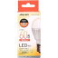 ں2,000OFF4/24 204/25 24 LEDŵ E17 ۸ 60 ŵ忧 ꥹ LDA6L-G-E17-6T6-E