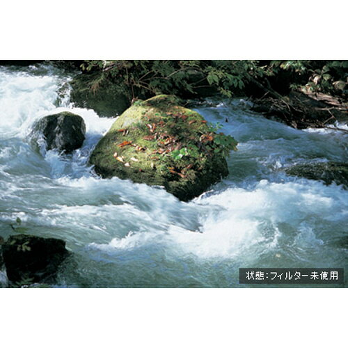 ケンコー Kenko 一眼アクセサリ PRO-ND4 52MM