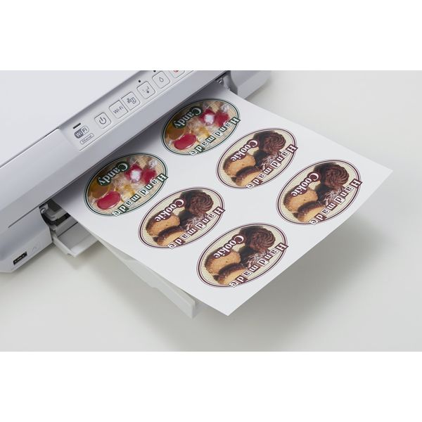 ��٥륷����Υ��󥯥����åȡ� ���꡼���ॸ��ѥ� 29253