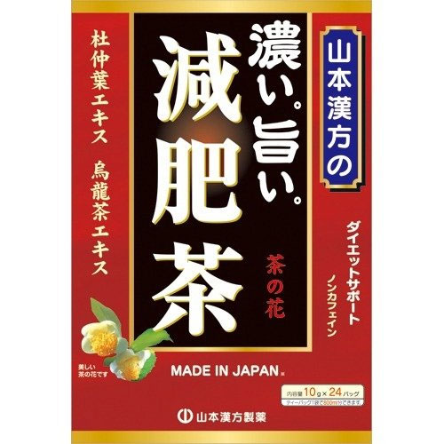 山本漢方製薬 濃い旨い減肥茶10g×24バッグ