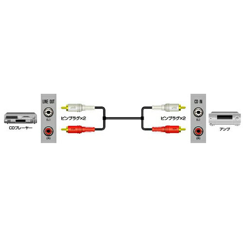 P2ܡJVC󥦥å ԥץ饰X2-ԥץ饰X2 1m CN-180G