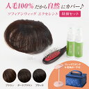 【特別セット】人毛100% ソフィアンウイッグ エクセレント 読売テレビ通販 テレビショッピングのビートップス 薄毛を自然にカバーする部分かつら 人毛100%だ...