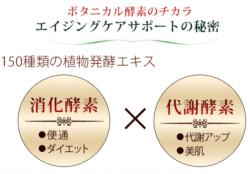 ラシンシア　ボタニカルザイム／高濃度植物酵素エキスドリンク　（720ml）　酵素 酵母 植物発酵 レスベラトロール ケルセチン 体サビ 代謝 美肌