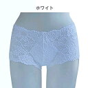 ZERMATT オールレースヒップハングショーツ 同カラー2枚組 ZE1064 ローライズ ツェルマット 着け心地 豊富なカラー 快適 美しい ランジェリー ス...