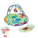 Kids2 Baby Einstein 12807 2 in 1 ウォーターマット プレイジム キッズツー ベビーアインシュタイン 商品動画 ベビージム ベビーマット おもちゃ 男の子 女の子 プレイジム 赤ちゃん 0ヶ月 知育 出産祝い ミラー コンパクト 収納