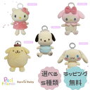 パシフレンズ Paci friends ハローキティ マイメロディ シナモロール ポチャッコ ポムポムプリン サンリオベビー Sanrio Baby おしゃれ おしゃぶり 新生児 赤ちゃん ベビー 0ヶ月 シリコン 出産祝い ギフト プレゼント 誕生日 お祝い