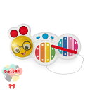 Kids2 Baby Einstein 12927 }WbN^b`EVtHEނ̃J LbYc[ xr[ACV^C i VtH  Ԃ xr[ 12 mߋ  oYj V Mtg v[g a j 蕨 ubNtCf[ NX}X