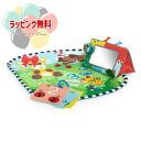Kids2 Baby Einstein 16788 ディスカバリーガーデン タミータイムマット&ミラー キッズツー ベビーアインシュタイン 歯固め プレイマット...