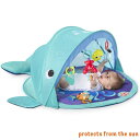 O【パッケージ不良】ラッピング不可 ご自宅用Kids2 Bright Starts 11393 エクスプロア&ゴー・アクティビティジム キッズツー ブライトスタ...