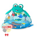 Kids2 Baby Einstein 11753 ネプチューン アンダーザシー アクティビティジム キッズツー ベビーアインシュタイン ベビージム ベビーマット おもちゃ 男の子 女の子 プレイジム 赤ちゃん 0ヶ月 知育 出産祝い ギフト プレゼント お祝い 贈り物