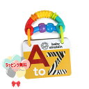 Kids2 Baby Einstein AtoZキュリオシティ・カード 11795 キッズツー ベビーアインシュタイン アルファベット 単語帳 赤ちゃん ベビー...