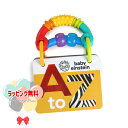 Kids2 Baby Einstein AtoZキュリオシティ・カード 11795 キッズツー ベビーアインシュタイン アルファベット 単語帳 赤ちゃん ベビー 0ヶ月 知育玩具 教育 出産祝い 指先運動 室内遊び ギフト プレゼント 誕生日 お祝い 贈り物 クリスマス