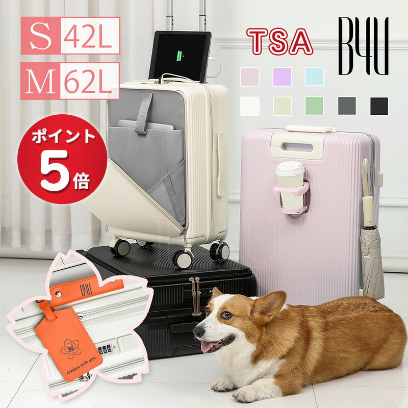 デルセー DELSEY [CHATELET AIR 2.0 SUITCASE-TRUNK 73CM シャトレーエアー2.0] TRUNK 73cm 無料預け入れ スーツケース キャリーバッグ おしゃれ かわいい