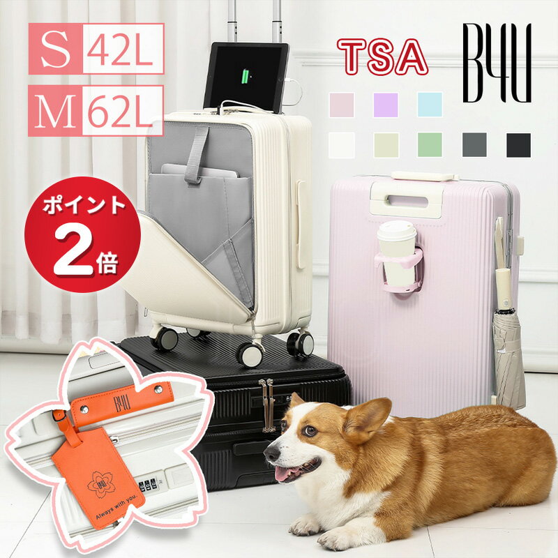 【最大26倍 16日1:59迄】【正規品5年保証】 ローリンク スーツケース 機内持ち込み Sサイズ Rollink キャリーケース 軽量 軽い オシャレ かわいい 可愛い TSA 女性 メンズ レディース 折りたたみスーツケース 1～2泊 39L 出張 旅行 Flex 360 Spinner