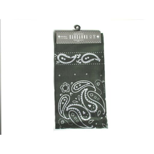 バンダナ ペイズリー柄 深緑色 54×54cm (100円ショップ 100円均一 100均一 100均) バンダナ ペイズリー柄 深緑色 54×54cm (100円ショップ 100円均一 100均一 100均)