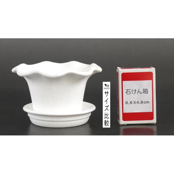 ミニ観葉ビオラポット 受皿付 クールホワイト 容量500ml (100円ショップ 100円均一 100均一 100均)