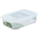 保存容器 イデアル601 長角大 浅型 容量930ml (100円ショップ 100円均一 100均一 100均)(3)