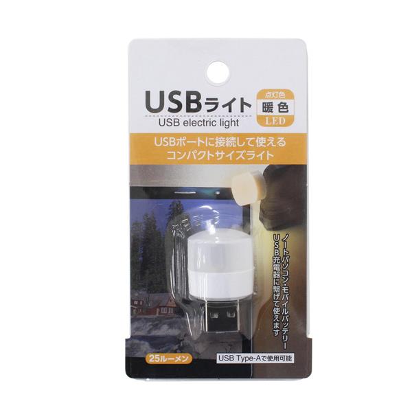 USBライト 25ルーメン ［種類指定不