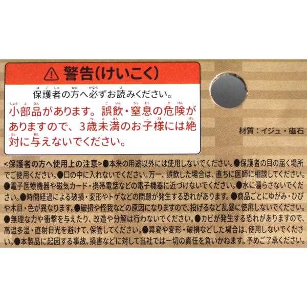 �������ޤޤ��ȥ��å� ����� �ޥ��ͥåȼ� (100�ߥ���å� 100�߶Ѱ� 100�Ѱ� 100��)