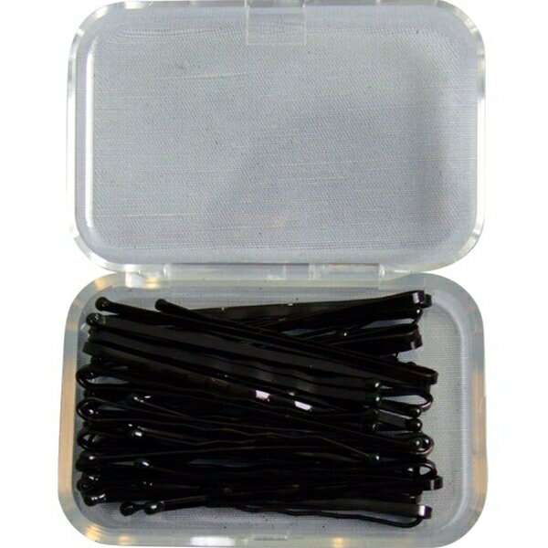 アメリカピン 玉付 30g ケース入 (100円ショップ 100円均一 100均一 100均)