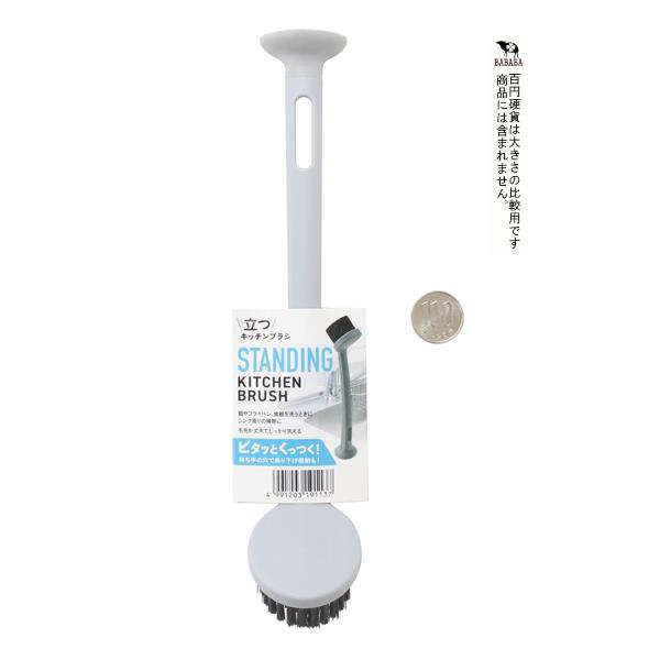 立つキッチンブラシ 4.6×24.5cm (100円ショップ 100円均一 100均一 100均)
