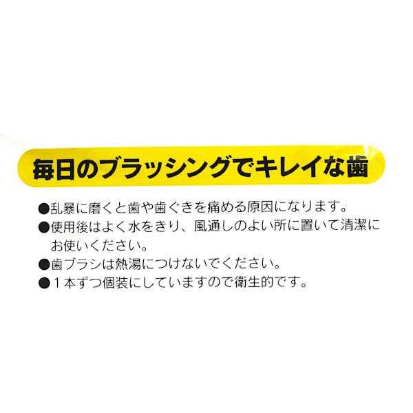 歯ブラシ 先細ヘッド クリア ふつう 3本入 (100円ショップ 100円均一 100均一 100均)