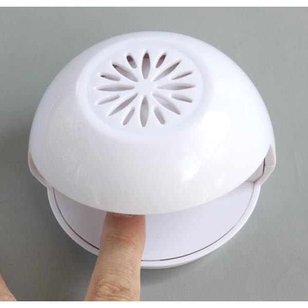 ��ư�ͥ���ɥ饤�䡼 �ۥ磻��