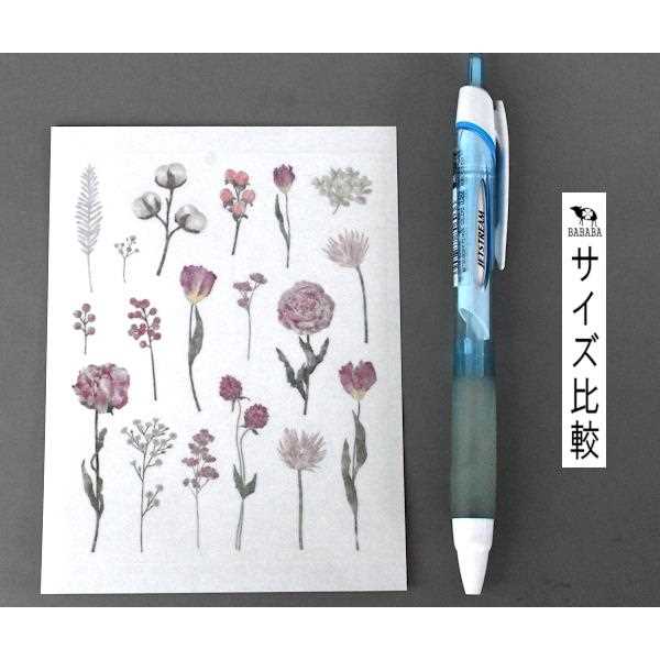 トレーシングダイカットシール ドライフラワーP 72片入 (100円ショップ 100円均一 100均一 100均)