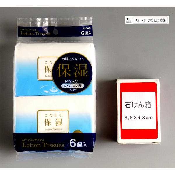 ローションティッシュ ヒアルロン酸配合 10組(20枚)×6個入 (100円ショップ 100円均一 100均一 100均)