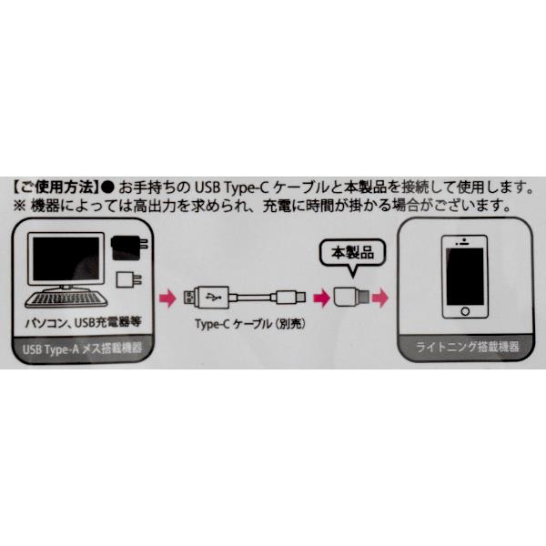 iPhone��Type-C�Ѵ������ץ�