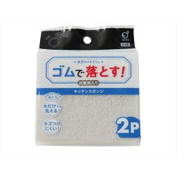 水だけキッチンスポンジ 抗菌剤入 10.5×6×2.8cm 2個入 (100円ショップ 100円均一 100均一 100均)