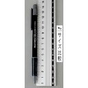 ボールペン 中字0.7mm 黒 2本入 (100円ショップ 100円均一 100均一 100均)