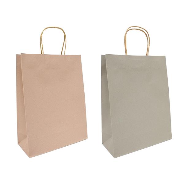 ペーパーバッグ クラフトカラー 30×23×マチ10cm 2枚入 ［色指定不可］ (100円ショップ 100円均一 100均一 100均)