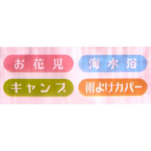 �ѥ��ƥ�쥸�㡼������ 2ġ������(180��180cm) �ο������Բġ�