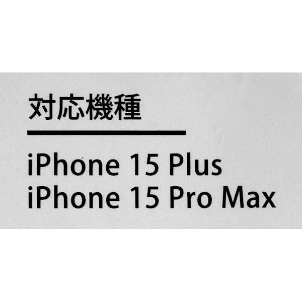 iPhone15Plus/15ProMax用抗菌&皮脂防止ガラス保護フィルム (100円ショップ 100円均一 100均一 100均)