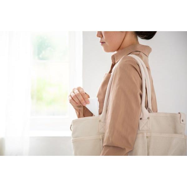 手提げポリ袋 エコフレンドリープロダクト 15L用 フラワー柄 青色 10枚入 (100円ショップ 100円均一 100均一 100均)