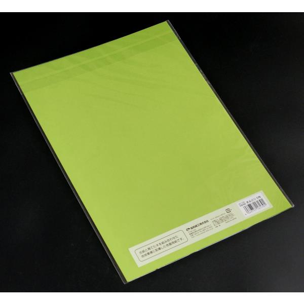 色画用紙 きみどり 36.3×25.7cm 6枚入 (100円ショップ 100円均一 100均一 100均)