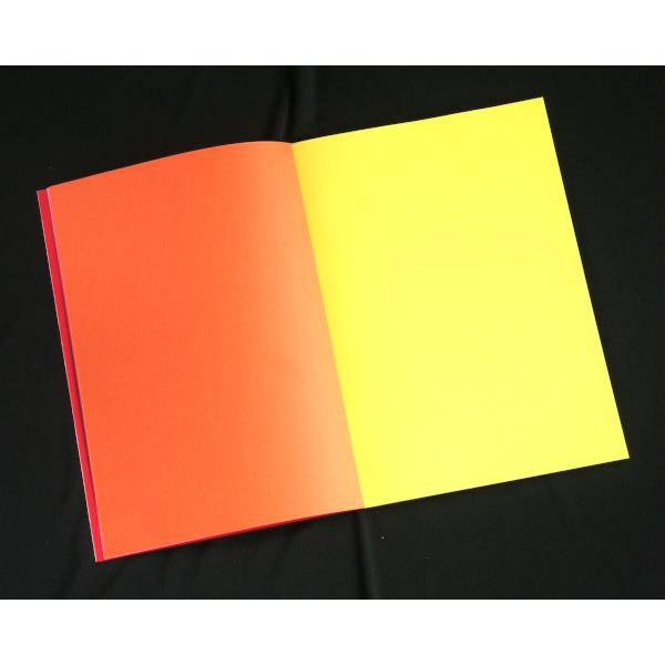 色画用紙 10色 17.5×25.3cm 20枚入 (100円ショップ 100円均一 100均一 100均)