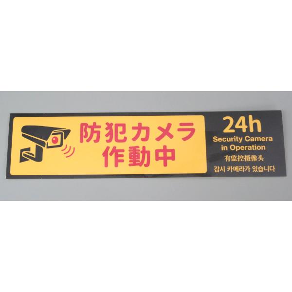 防犯カメラステッカー 再剥離可能 (100円ショップ 100円均一 100均一 100均)