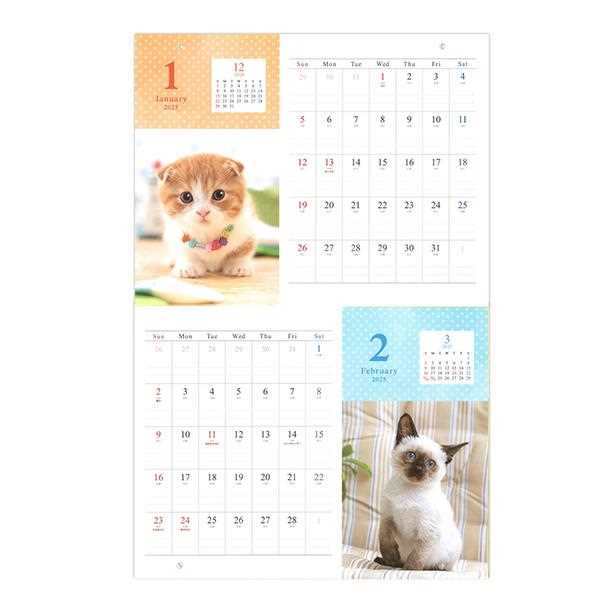 カレンダー 2025 見開き B3 ネコ写真 (100円ショップ 100円均一 100均一 100均)のサムネイル