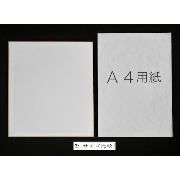色紙 画仙紙 27.2×24.2cm (100円ショップ 100円均一 100均一 100均)