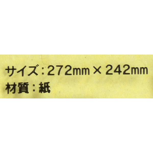 色紙 画仙紙 27.2×24.2cm (100円ショップ 100円均一 100均一 100均)