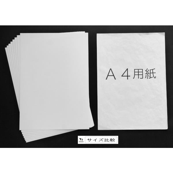 厚口画用紙 A4(29.7×21cm) 8枚入 (100円ショップ 100円均一 100均一 100均)