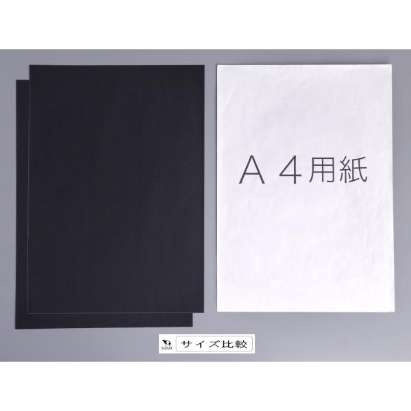 カーボン紙 片面筆記用 黒 A4サイズ 2枚入 (100円ショップ 100円均一 100均一 100均)