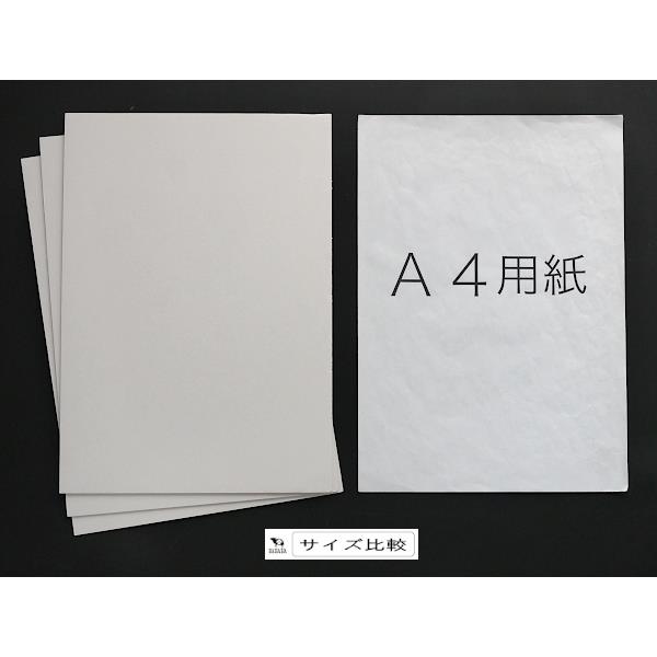 A4段ボールシート 両面白 3枚入 (100円ショップ 100円均一 100均一 100均)