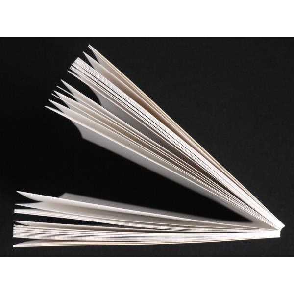 セミB6ノート スモーキーコンティニュー A罫 60枚 ［色指定不可］ (100円ショップ 100円均一 100均一 100均)