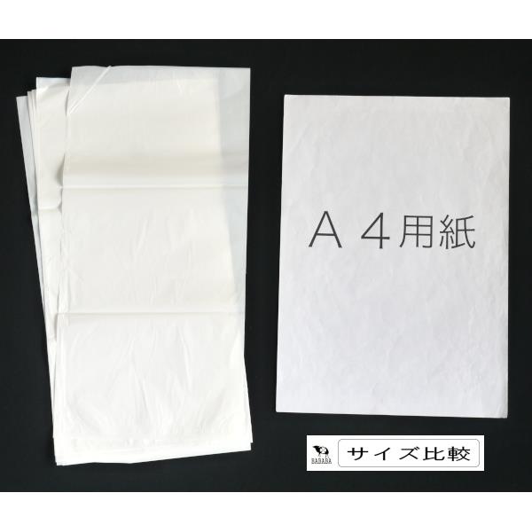 におい閉じ込め防臭袋 Mサイズ(35×17cm) 14枚入 (100円ショップ 100円均一 100均一 100均)